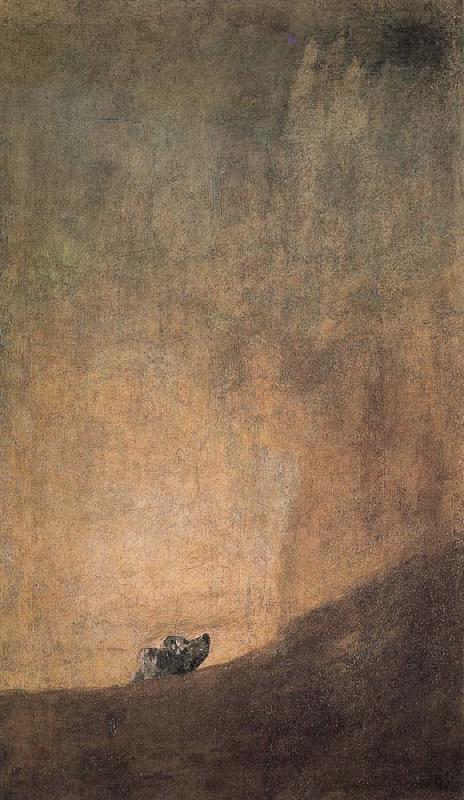 Francisco Goya The Dog China oil painting art